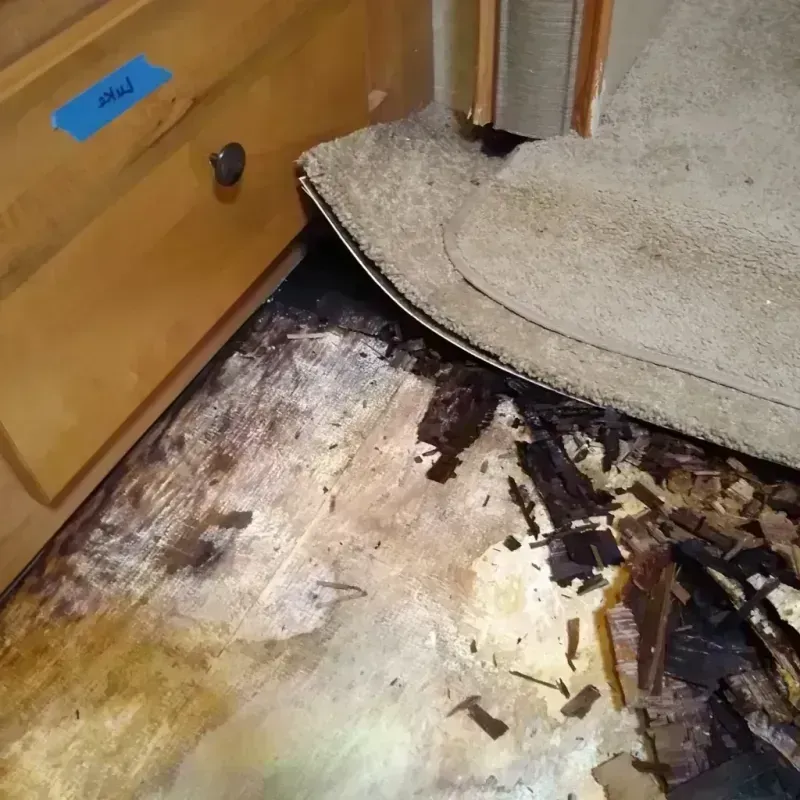 Best Wood Floor Water Damage Service in East Stroudsburg, PA